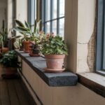 0Okno z antracytowym parapetem w mieszkaniu